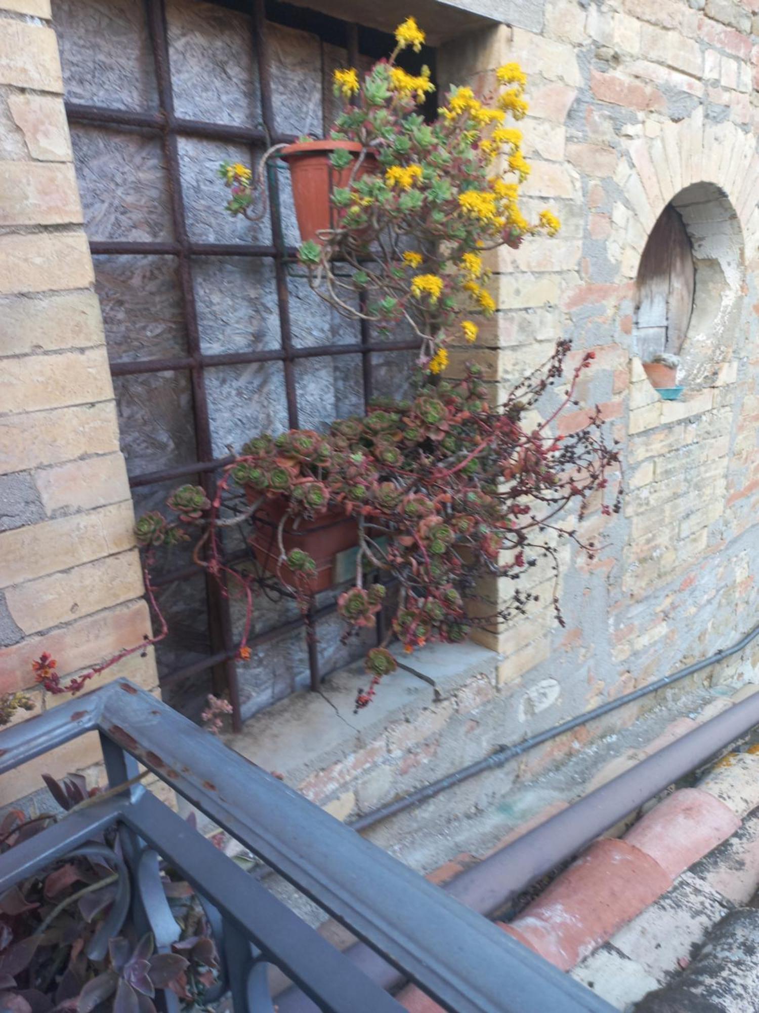 Fattoria Di Rigone Villa Coltavolino Luaran gambar