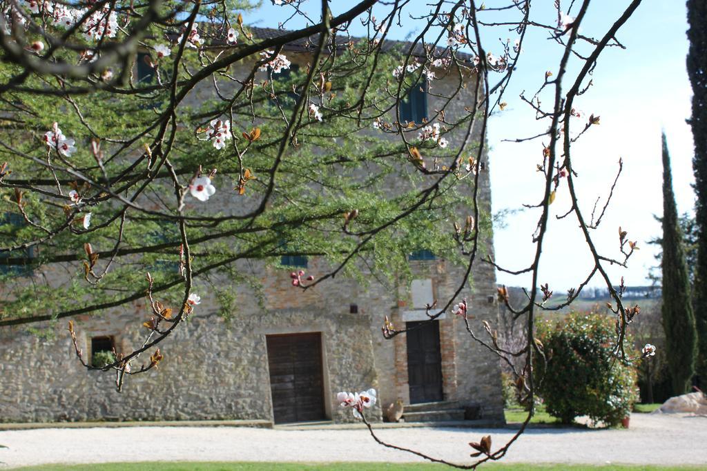 Fattoria Di Rigone Villa Coltavolino Luaran gambar