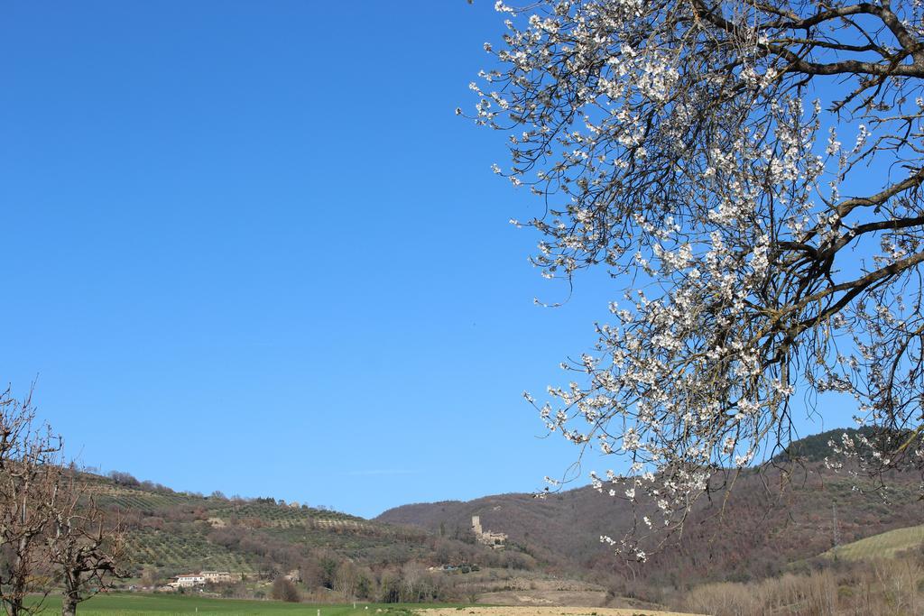 Fattoria Di Rigone Villa Coltavolino Luaran gambar
