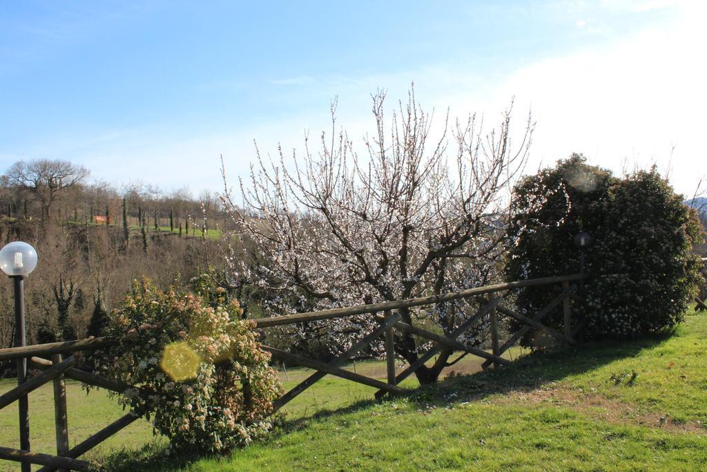 Fattoria Di Rigone Villa Coltavolino Luaran gambar