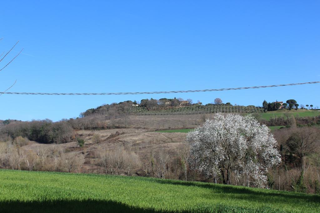 Fattoria Di Rigone Villa Coltavolino Luaran gambar