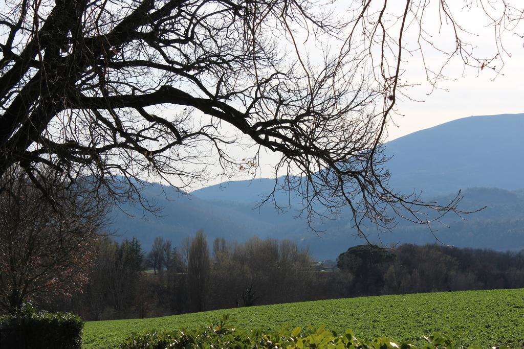 Fattoria Di Rigone Villa Coltavolino Luaran gambar