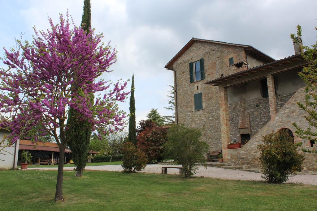 Fattoria Di Rigone Villa Coltavolino Luaran gambar