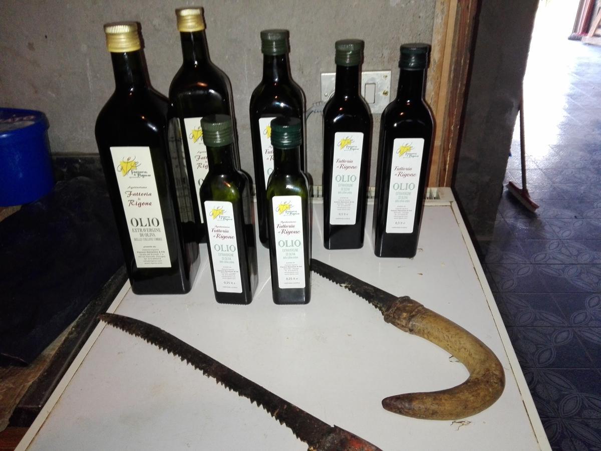 Fattoria Di Rigone Villa Coltavolino Luaran gambar